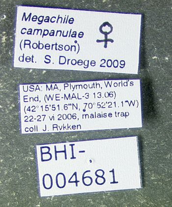 Media type: image;   Entomology 610865 Aspect: labels